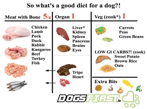 can i feed my dog raw beef liver - And Should I Consider Cooking It First for Better Nutritional Value?